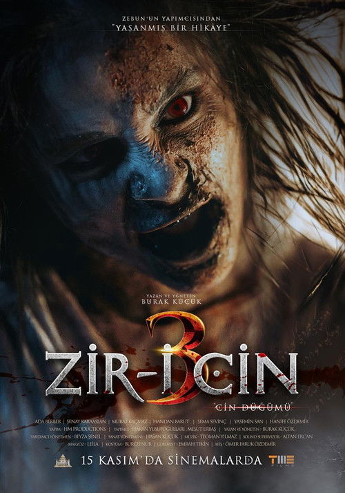 Zir-i Cin 3 (2024) film posteri