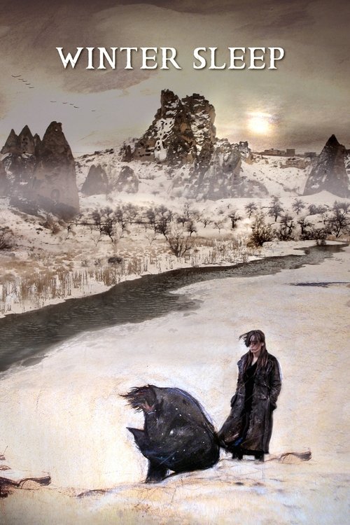 Kış Uykusu (2014) film posteri
