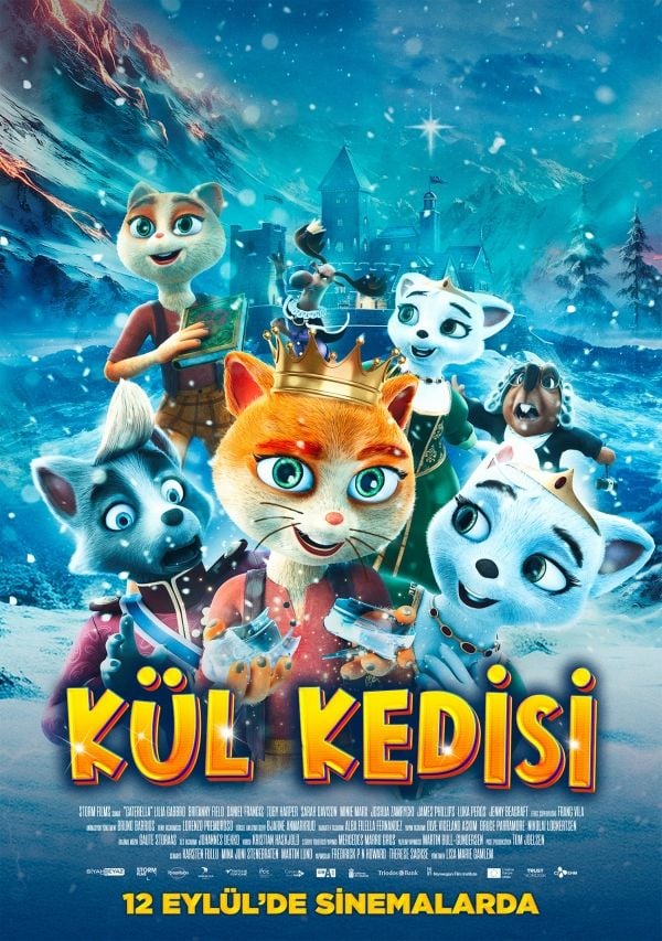Kül Kedisi (2025) film posteri