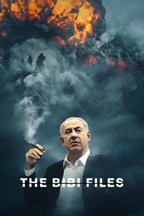 Bibi Tutanakları (2024) film posteri