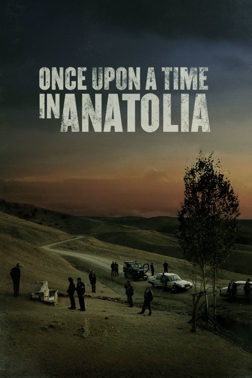 Bir Zamanlar Anadolu’da (2011) film posteri