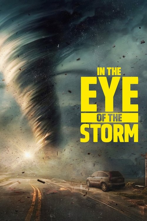 In The Eye Of The Storm (2024) film posteri
