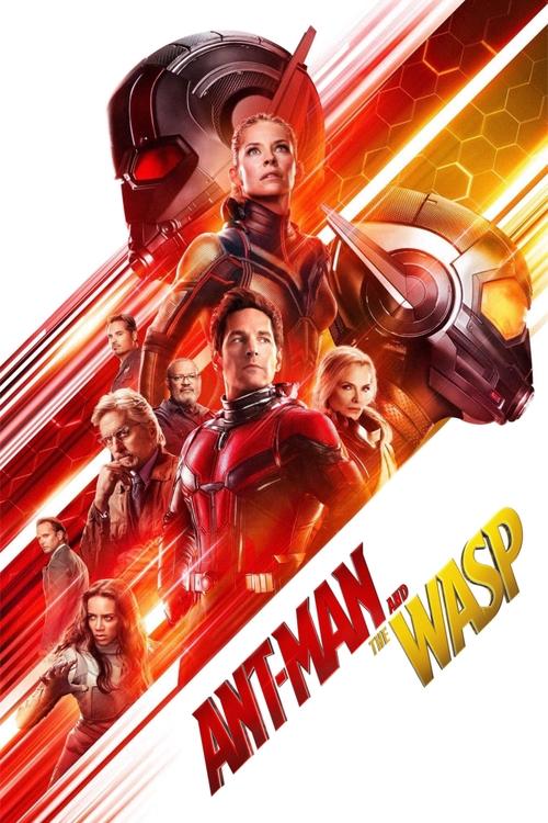 Ant-Man ve Wasp (2018) film posteri
