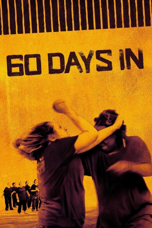 60 Days In (2016) film posteri