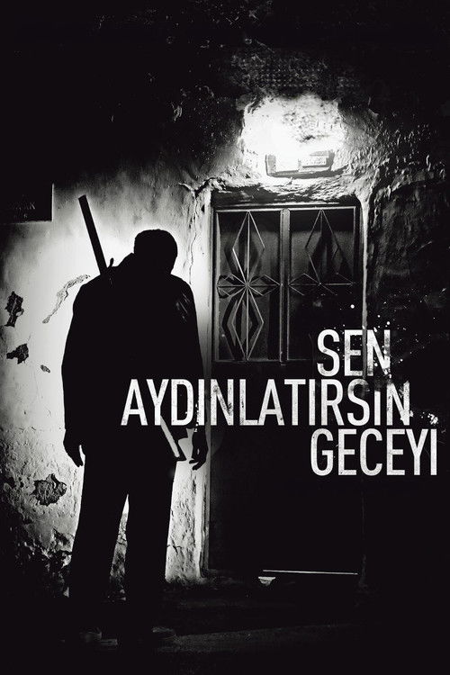 Sen Aydınlatırsın Geceyi (2013) film posteri