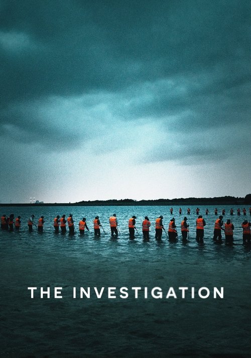 The Investigation (2020) film posteri