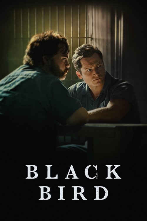 Black Bird (2022) film posteri